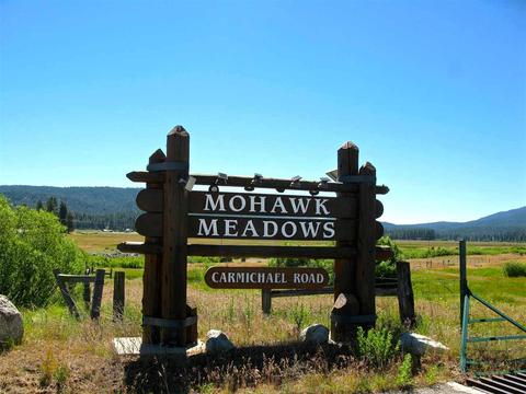 755 Carmichael Rd, Clio, CA 96106 photo 16