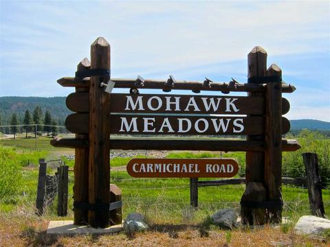 1050 Carmichael Rd, Clio, CA 96106 photo 10