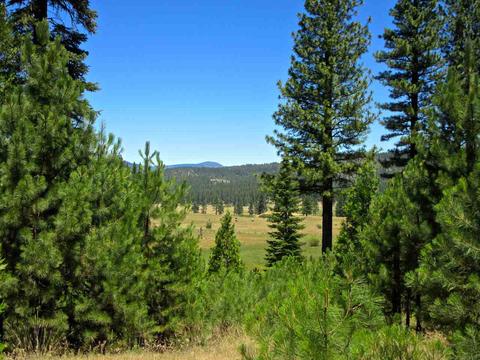1050 Carmichael Rd, Clio, CA 96106 photo 2