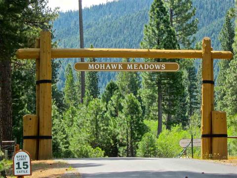 1050 Carmichael Rd, Clio, CA 96106 photo 9