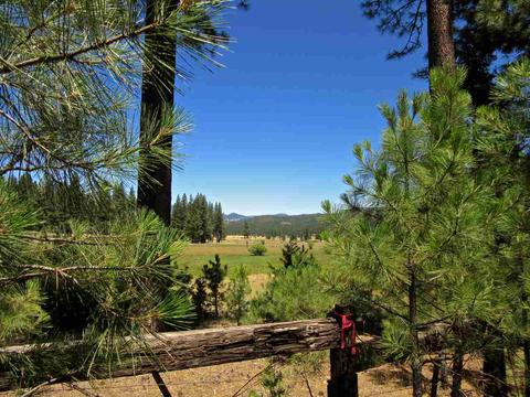 1050 Carmichael Rd, Clio, CA 96106 photo 6