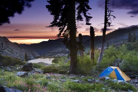 1050 Carmichael Rd, Clio, CA 96106 photo 20