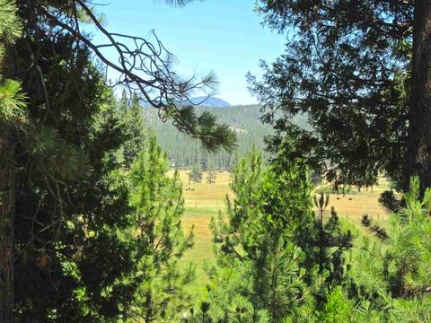 1050 Carmichael Rd, Clio, CA 96106 photo 3