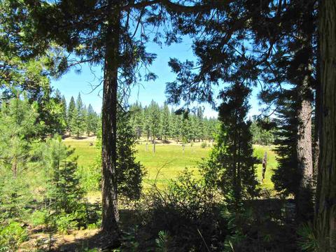 1050 Carmichael Rd, Clio, CA 96106 photo 4