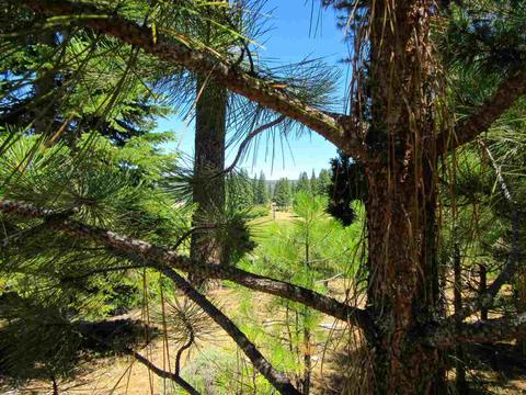 1050 Carmichael Rd, Clio, CA 96106 photo 5