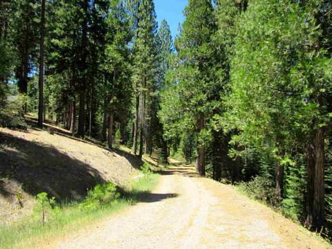 1050 Carmichael Rd, Clio, CA 96106 photo 7