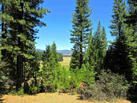 1050 Carmichael Rd, Clio, CA 96106 photo 1