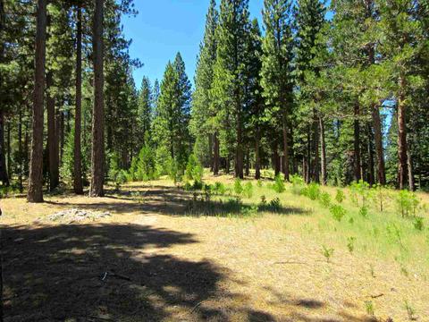 1006 Carmichael Rd, Clio, CA 96106 photo 14