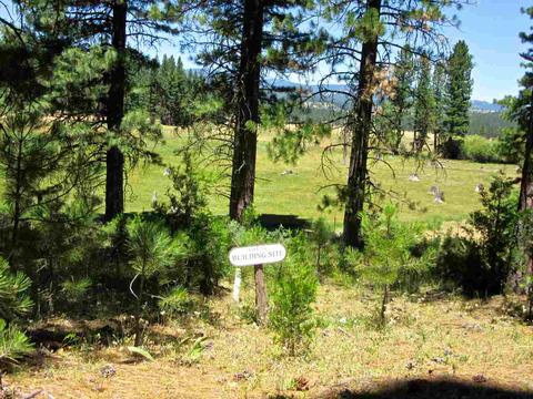 1006 Carmichael Rd, Clio, CA 96106 photo 10