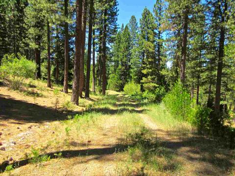 1006 Carmichael Rd, Clio, CA 96106 photo 13