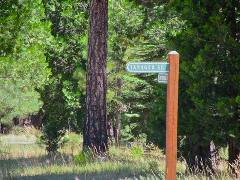 1006 Carmichael Rd, Clio, CA 96106 photo 15