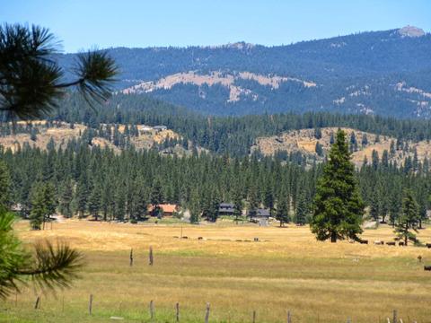 1006 Carmichael Rd, Clio, CA 96106 photo 8