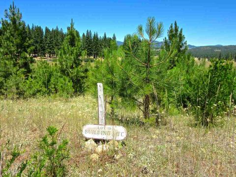 1006 Carmichael Rd, Clio, CA 96106 photo 6