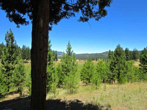1006 Carmichael Rd, Clio, CA 96106 photo 5