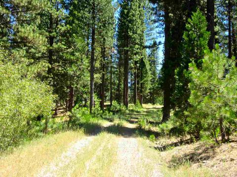 1006 Carmichael Rd, Clio, CA 96106 photo 12