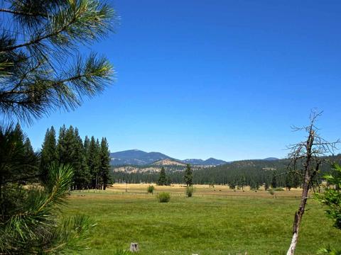 1006 Carmichael Rd, Clio, CA 96106 photo 1