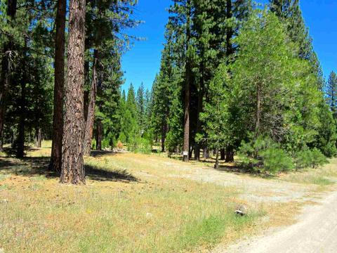 1006 Carmichael Rd, Clio, CA 96106 photo 16