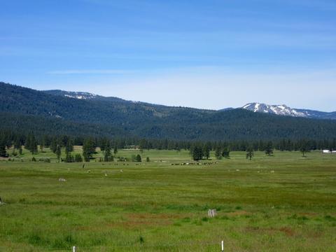 1006 Carmichael Rd, Clio, CA 96106 photo 21
