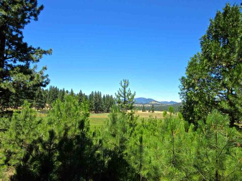 1006 Carmichael Rd, Clio, CA 96106 photo 2