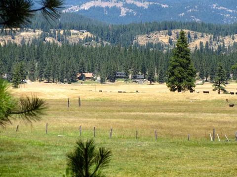 1006 Carmichael Rd, Clio, CA 96106 photo 9