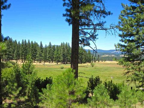1006 Carmichael Rd, Clio, CA 96106 photo 3