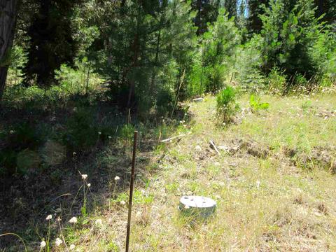 1006 Carmichael Rd, Clio, CA 96106 photo 11
