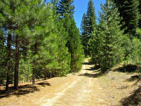 1006 Carmichael Rd, Clio, CA 96106 photo 18