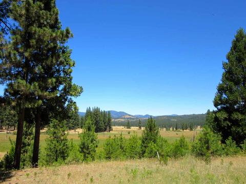 1006 Carmichael Rd, Clio, CA 96106 photo 4