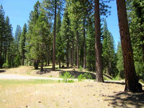 1044 Carmichael Rd, Clio, CA 96106 photo 8