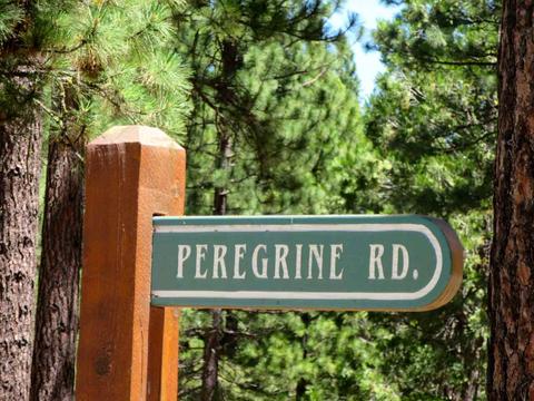 1044 Carmichael Rd, Clio, CA 96106 photo 6