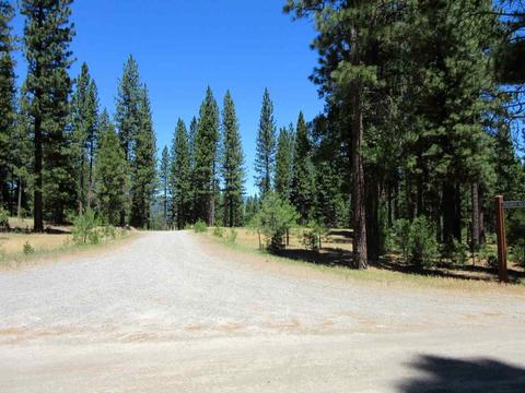 1044 Carmichael Rd, Clio, CA 96106 photo 5