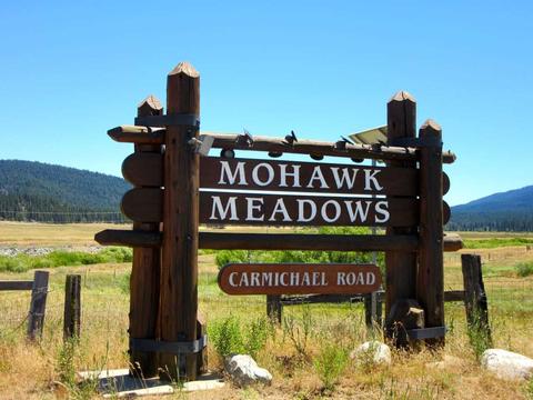 1044 Carmichael Rd, Clio, CA 96106 photo 11