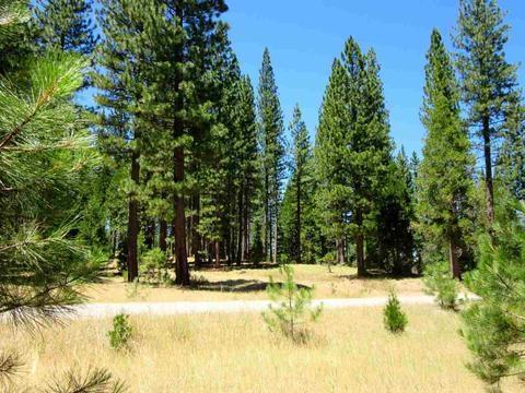 1044 Carmichael Rd, Clio, CA 96106 photo 7