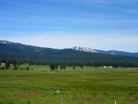 1044 Carmichael Rd, Clio, CA 96106 photo 13