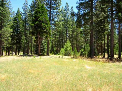 1044 Carmichael Rd, Clio, CA 96106 photo 4