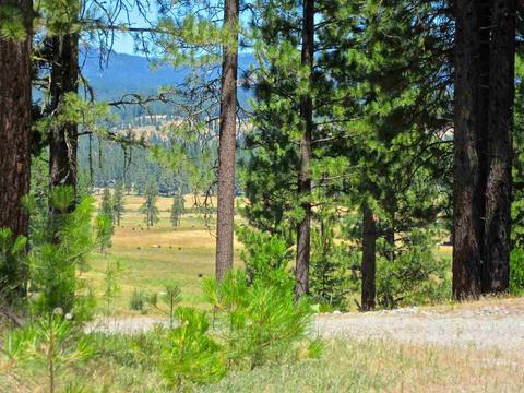 1044 Carmichael Rd, Clio, CA 96106 photo 3