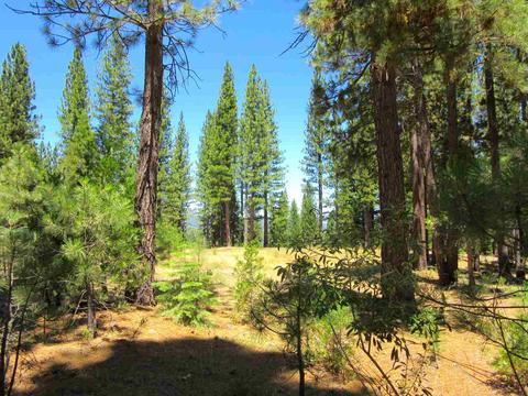 1044 Carmichael Rd, Clio, CA 96106 photo 1