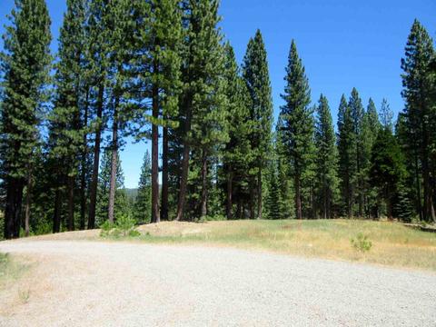 1044 Carmichael Rd, Clio, CA 96106 photo 9