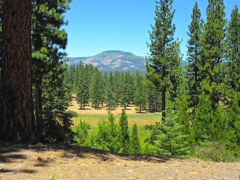 1044 Carmichael Rd, Clio, CA 96106 photo 2