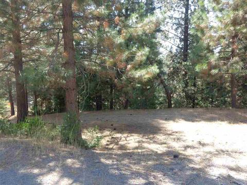 274 Osprey Loop, Chester, CA 96020 photo 5