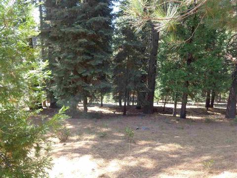 274 Osprey Loop, Chester, CA 96020 photo 1
