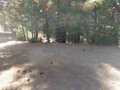 274 Osprey Loop, Chester, CA 96020 photo 4