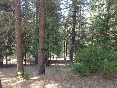 274 Osprey Loop, Chester, CA 96020 photo 2
