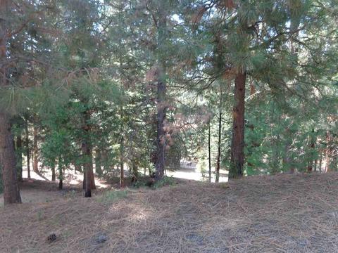 274 Osprey Loop, Chester, CA 96020 photo 3