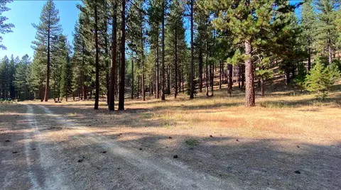 355 Clio State 40a Rd, Clio, CA 96106 photo 4