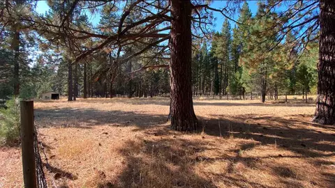 355 Clio State 40a Rd, Clio, CA 96106 photo 6