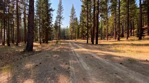 355 Clio State 40a Rd, Clio, CA 96106 photo 3