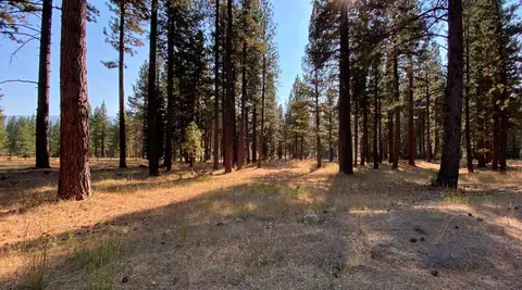 355 Clio State 40a Rd, Clio, CA 96106 photo 1
