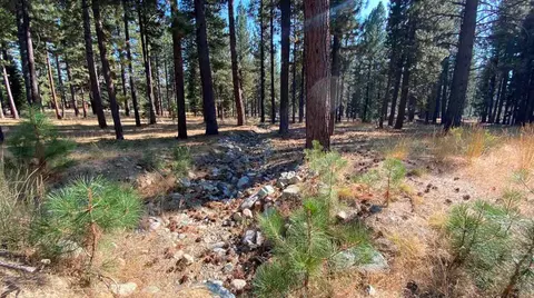 355 Clio State 40a Rd, Clio, CA 96106 photo 5