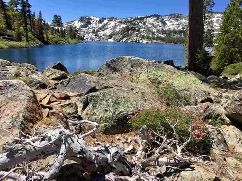 36 Shasta Trl, Graeagle, CA 96103 photo 27